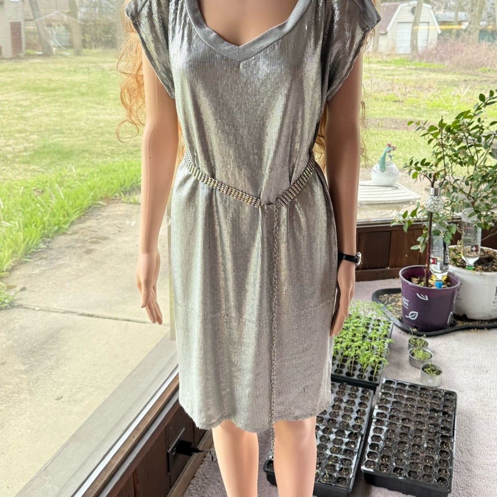 Silver Metallic Dress with Chain Belt